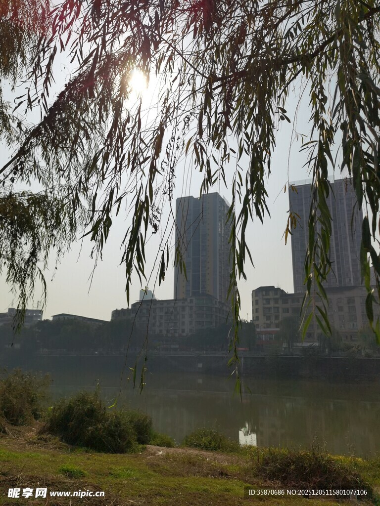 河畔柳枝下的城市远景