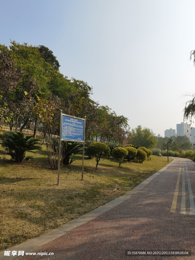 郊外林荫小道清新景致