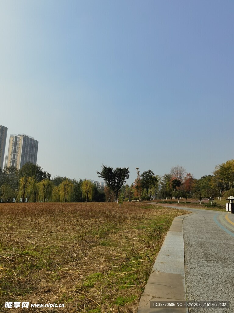 城郊开阔草地与远处高楼