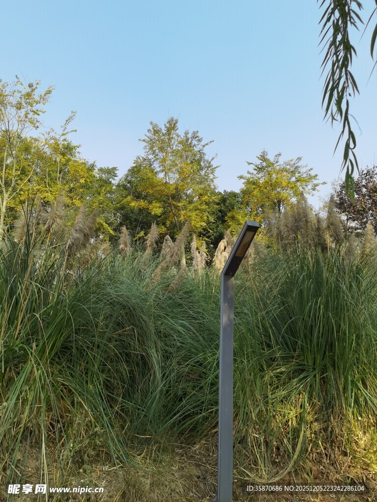 户外草地中的金属物件