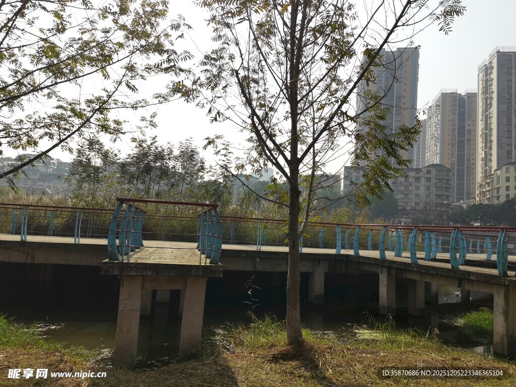 城市河畔风景