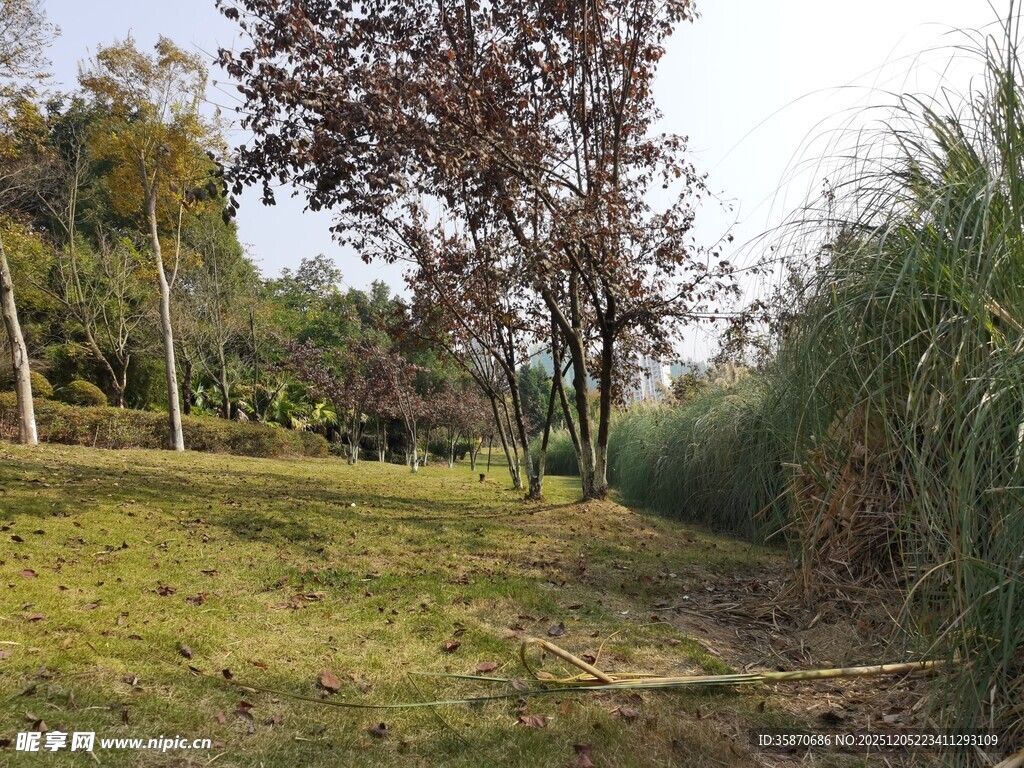 郊外绿意盎然的自然小径