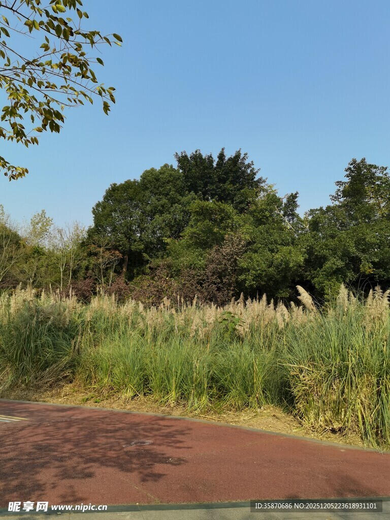 秋日郊野的静谧步道