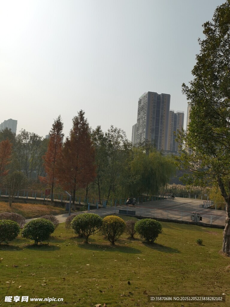 城市公园秋日风景