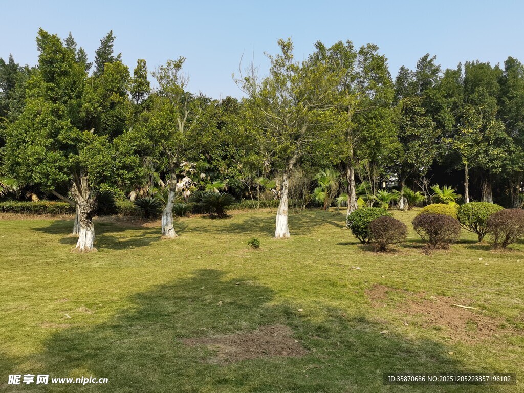 绿意盎然的户外园林景观