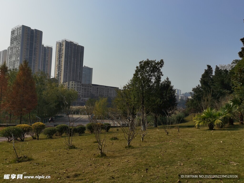 城市绿地旁的高楼景观