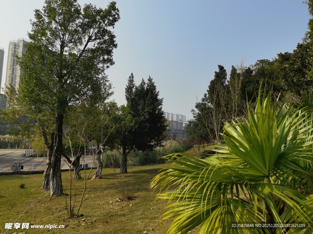 户外绿意盎然的园林景致