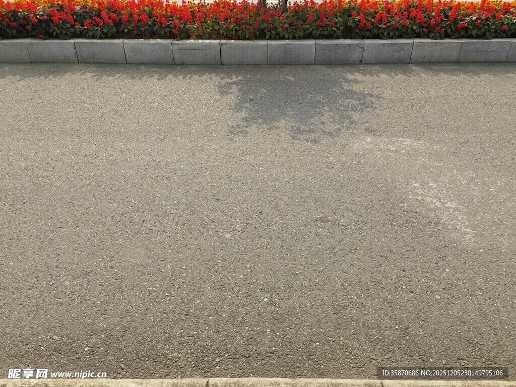 道路旁的多彩花卉景观