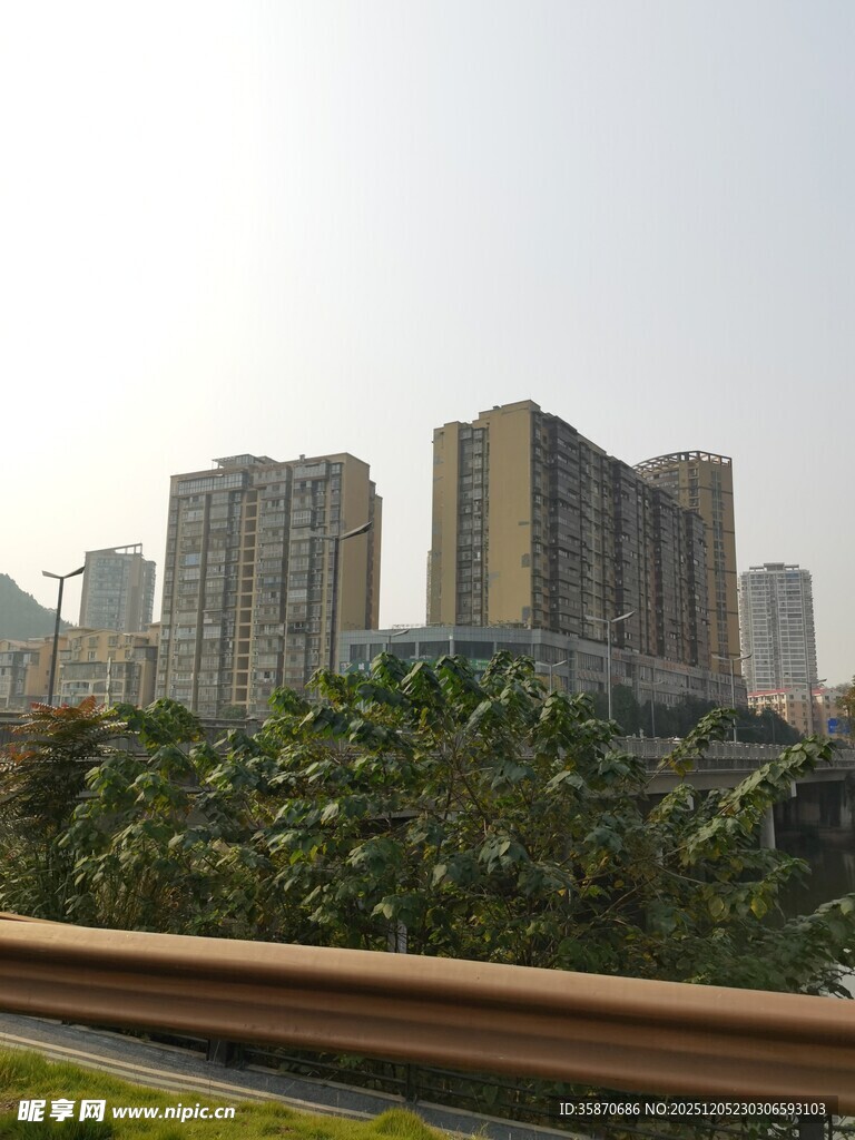 城市高楼与绿植景观