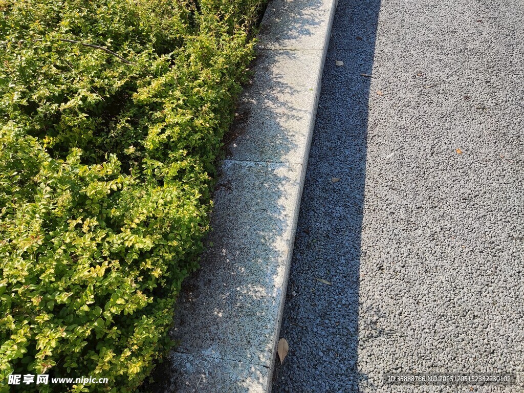路边绿植与灰色路面