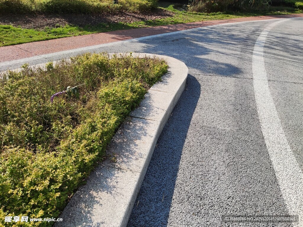 弯曲道路旁的绿植景观