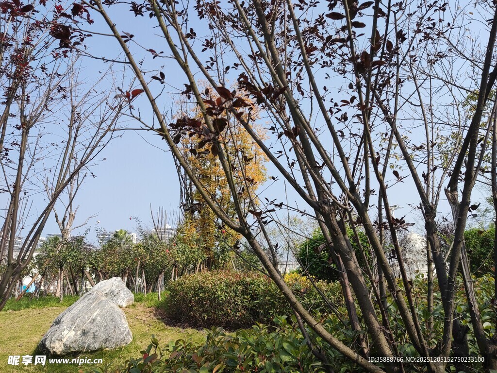 户外自然景观中的水塔