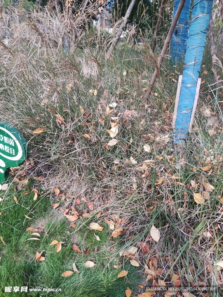 户外草地中的标识牌