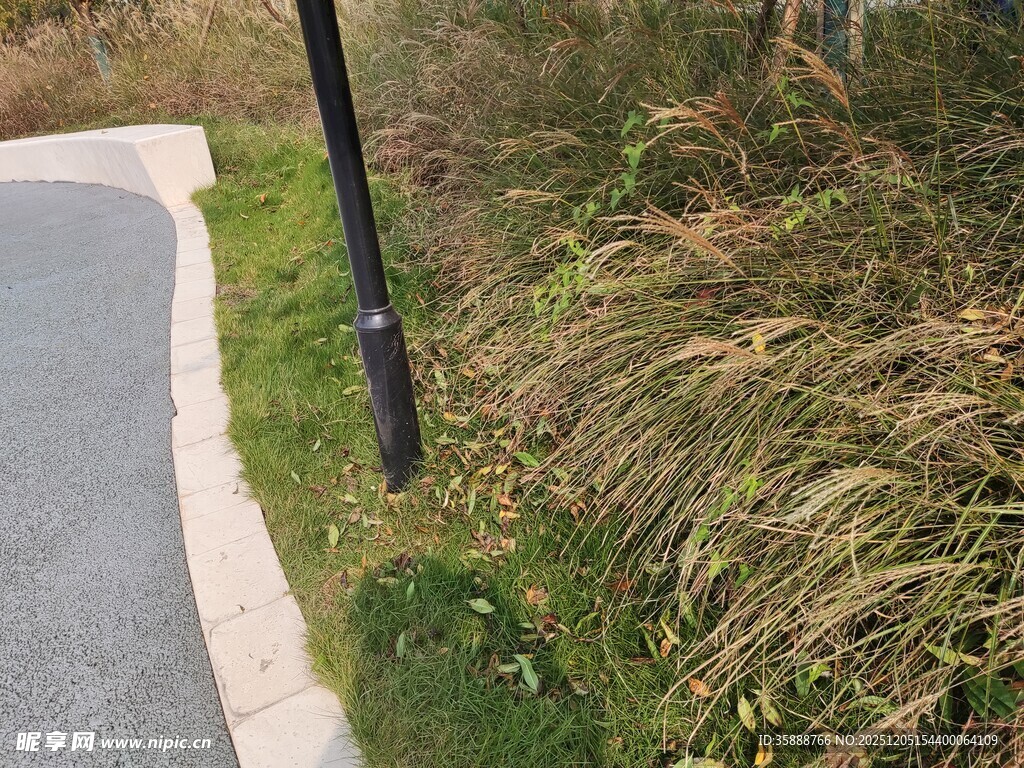 路边绿植与黑色灯杆景观