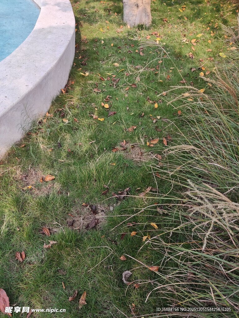 户外草地与石景景观