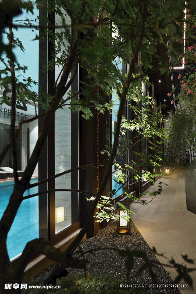 庭院泳池边的绿植景观