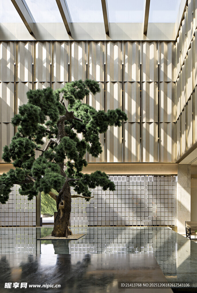 室内中式盆景景观设计