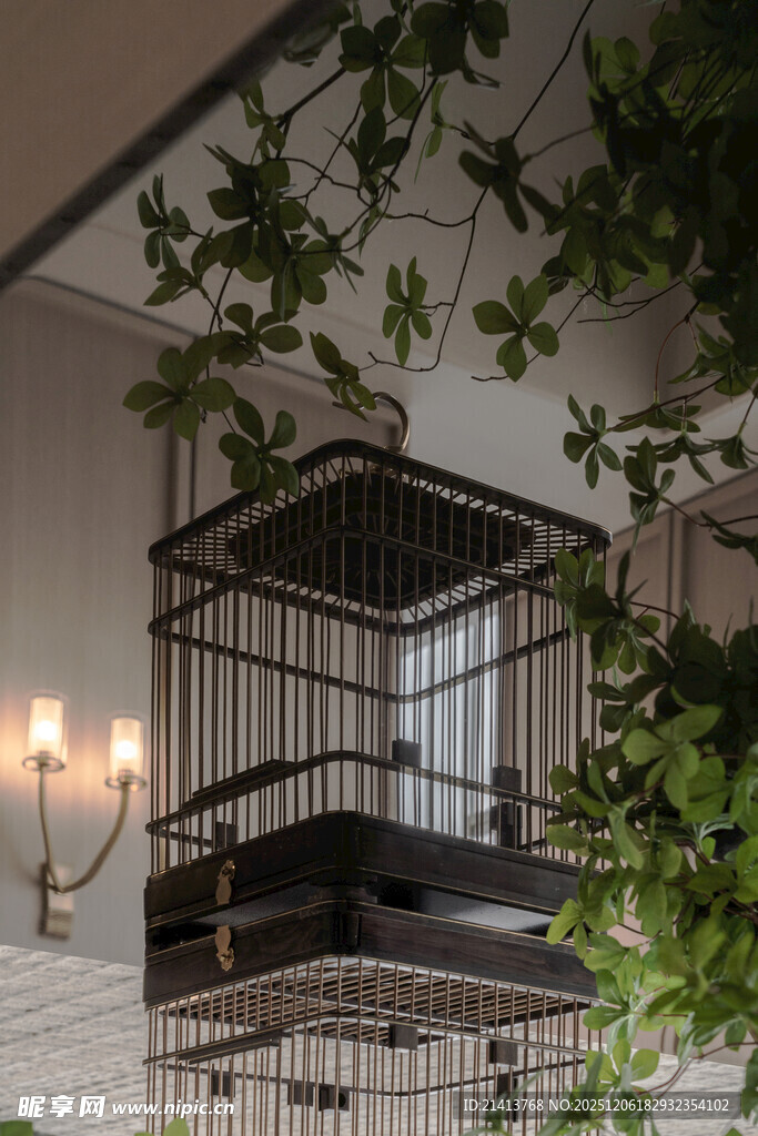 室内绿植装饰的鸟笼景观