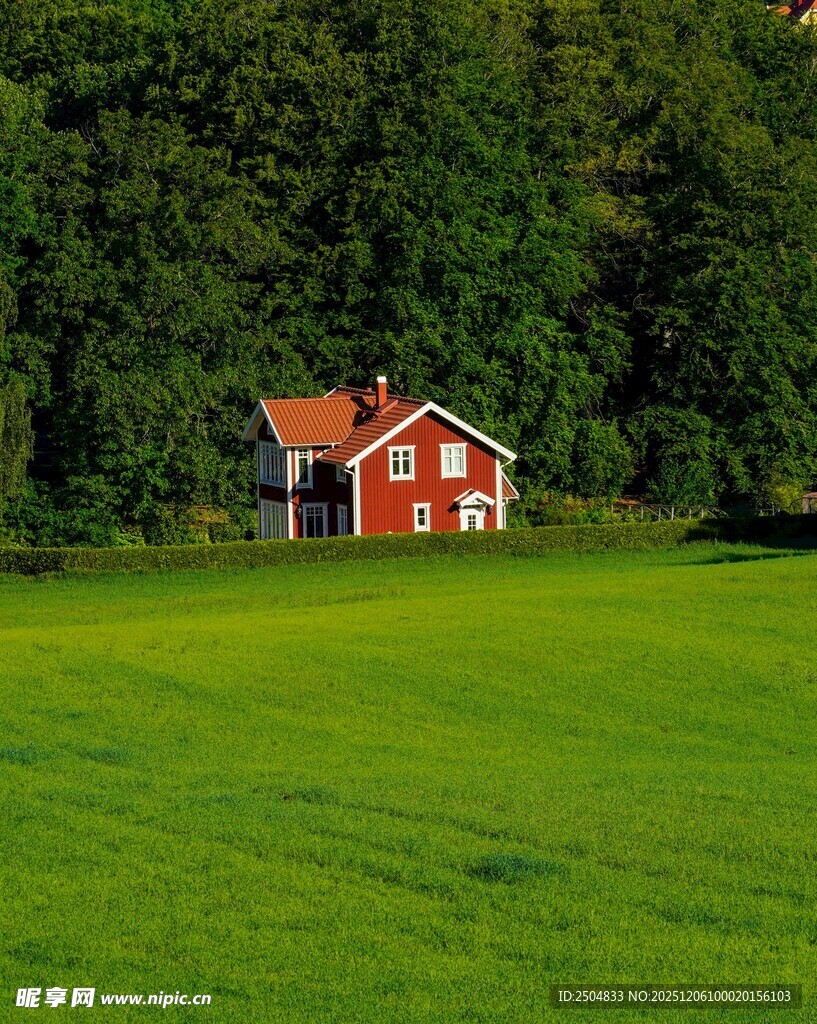 绿野中的红顶小屋