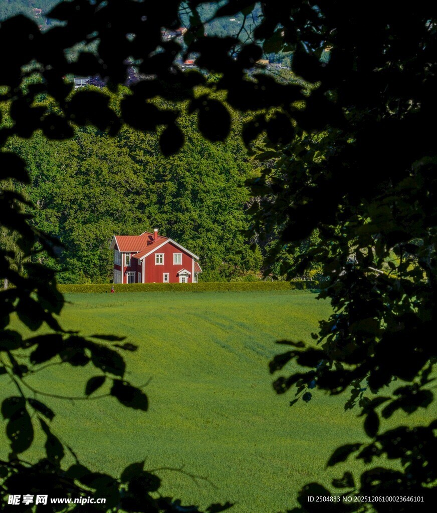 透过枝叶看绿野中的红屋