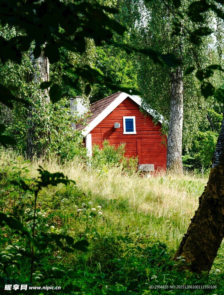 森林中的红色小屋