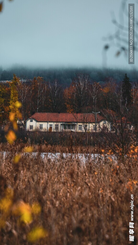 秋日田野中的红顶建筑
