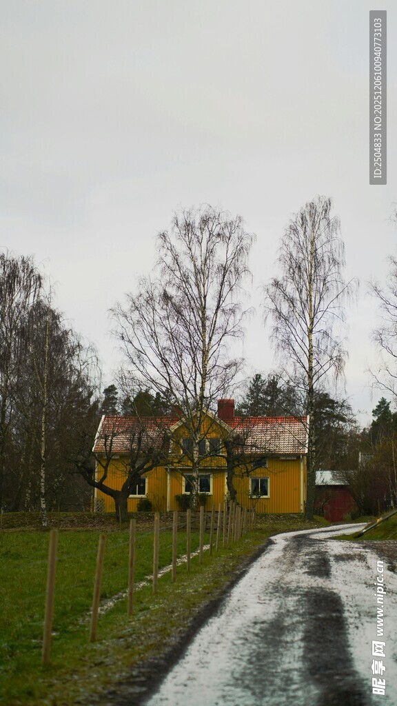 乡村冬日景色中的黄房子