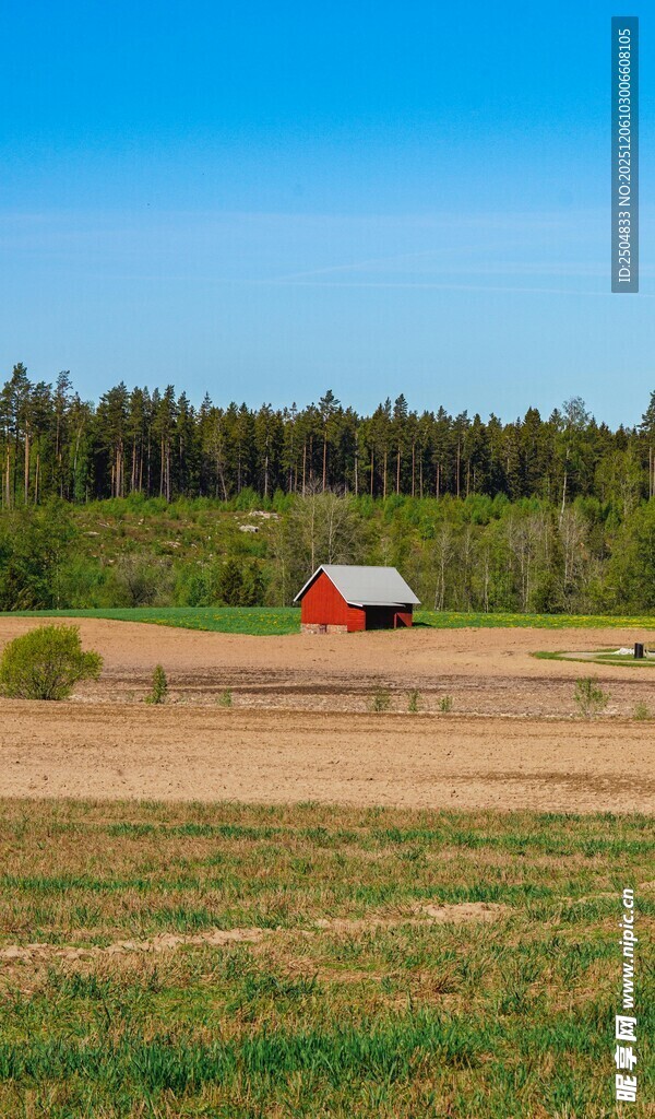 田野中的红顶小屋