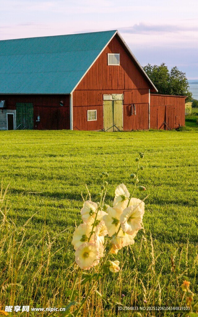 乡村田野中的红顶农舍