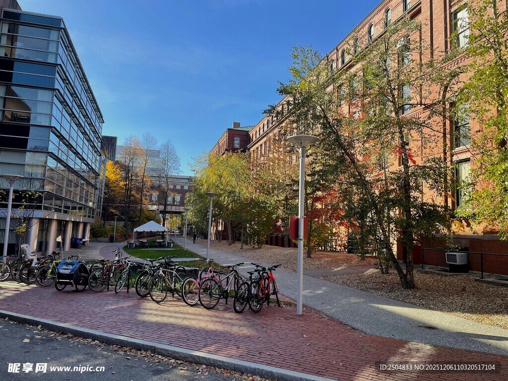 城市街道旁的建筑与绿植