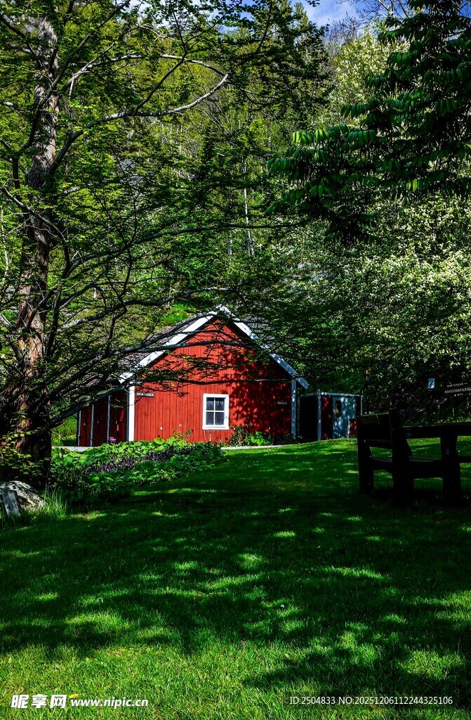 林间红屋 静谧自然景致