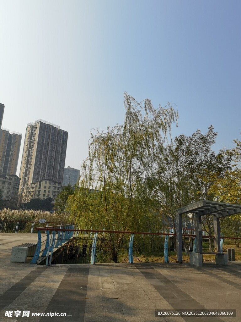 城市户外停车场景