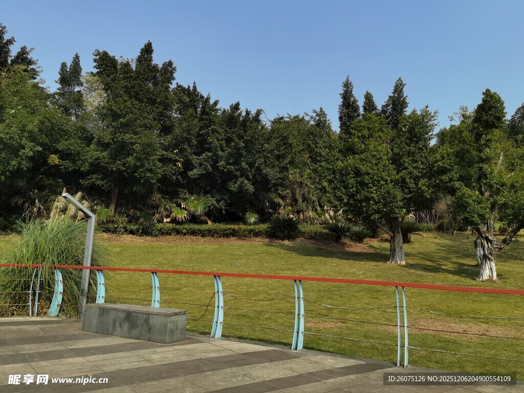 户外公园的开阔景致