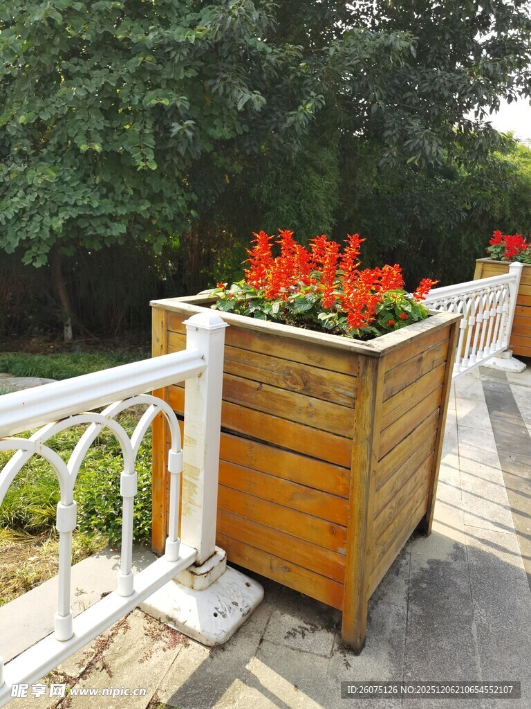 户外木质花箱装点绿植花卉