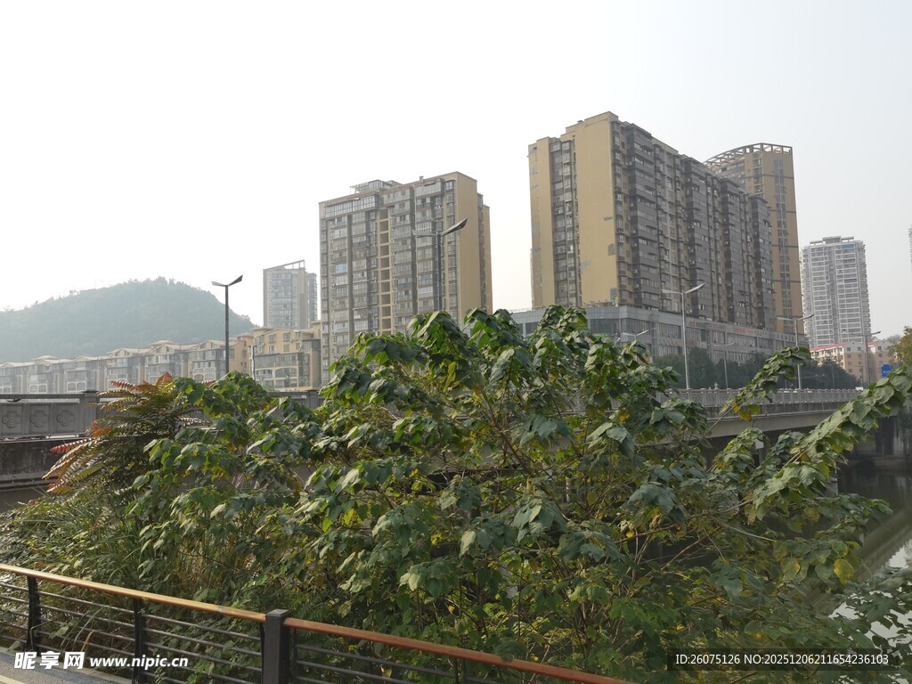 城市住宅区与绿植景观