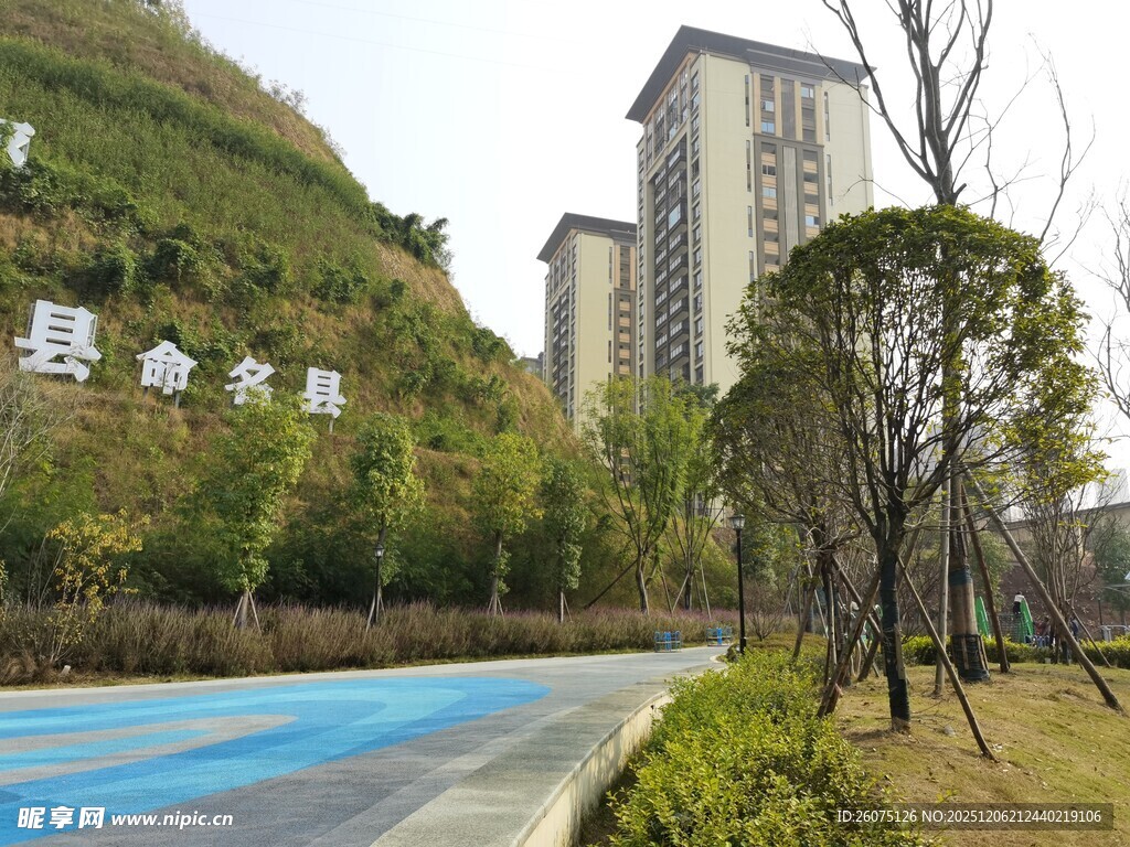 城市旁的休闲泳池与绿植