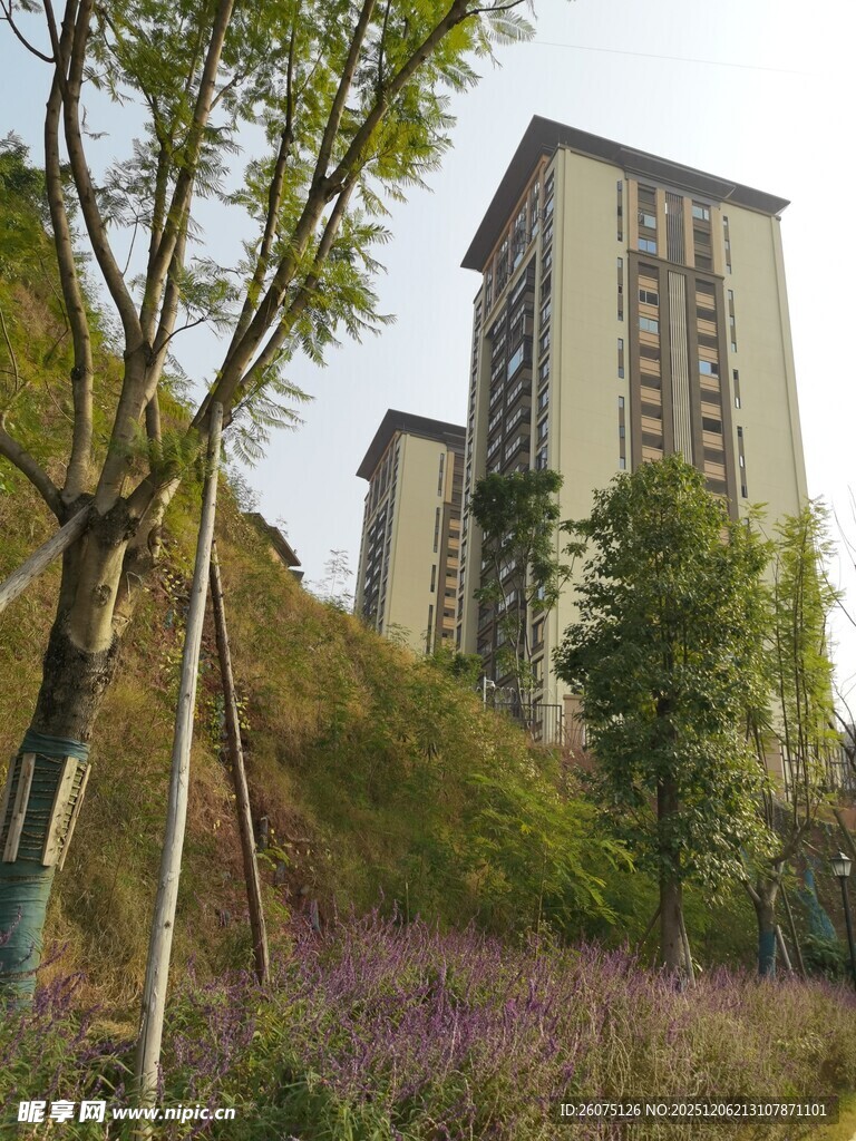 山坡旁的高层住宅景观