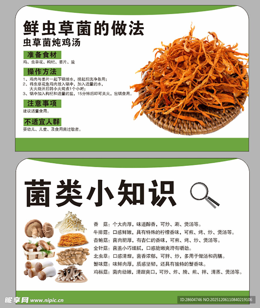 虫草菌做法与菌类小知识