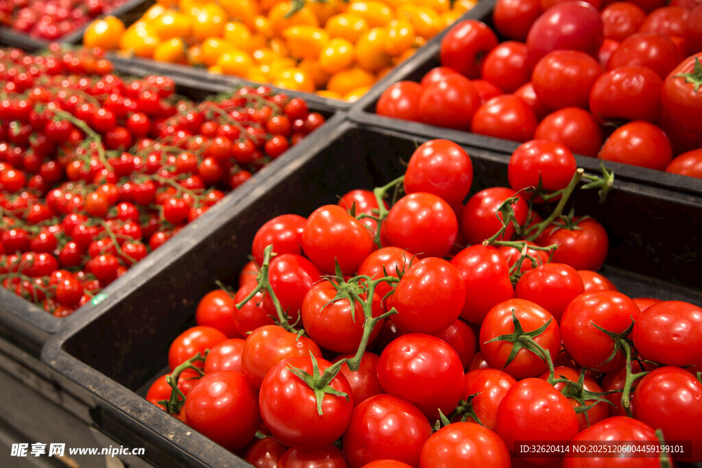 新鲜多彩番茄