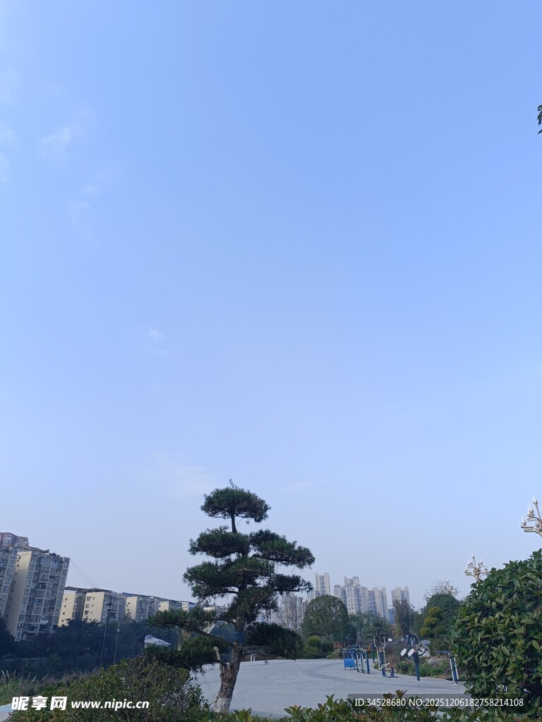 城市绿树蓝天风景图