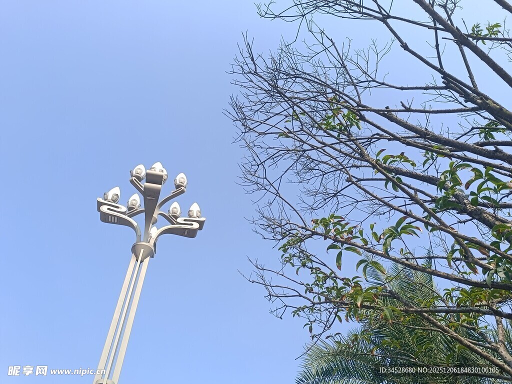 蓝天树枝旁的多球路灯