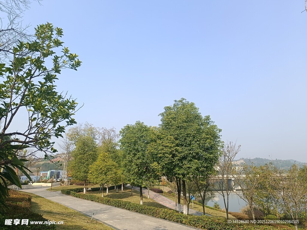 湖畔林荫小路秋日美景