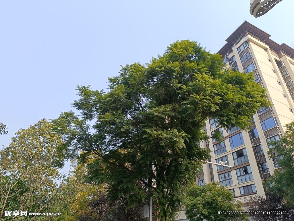 绿树环绕的现代建筑