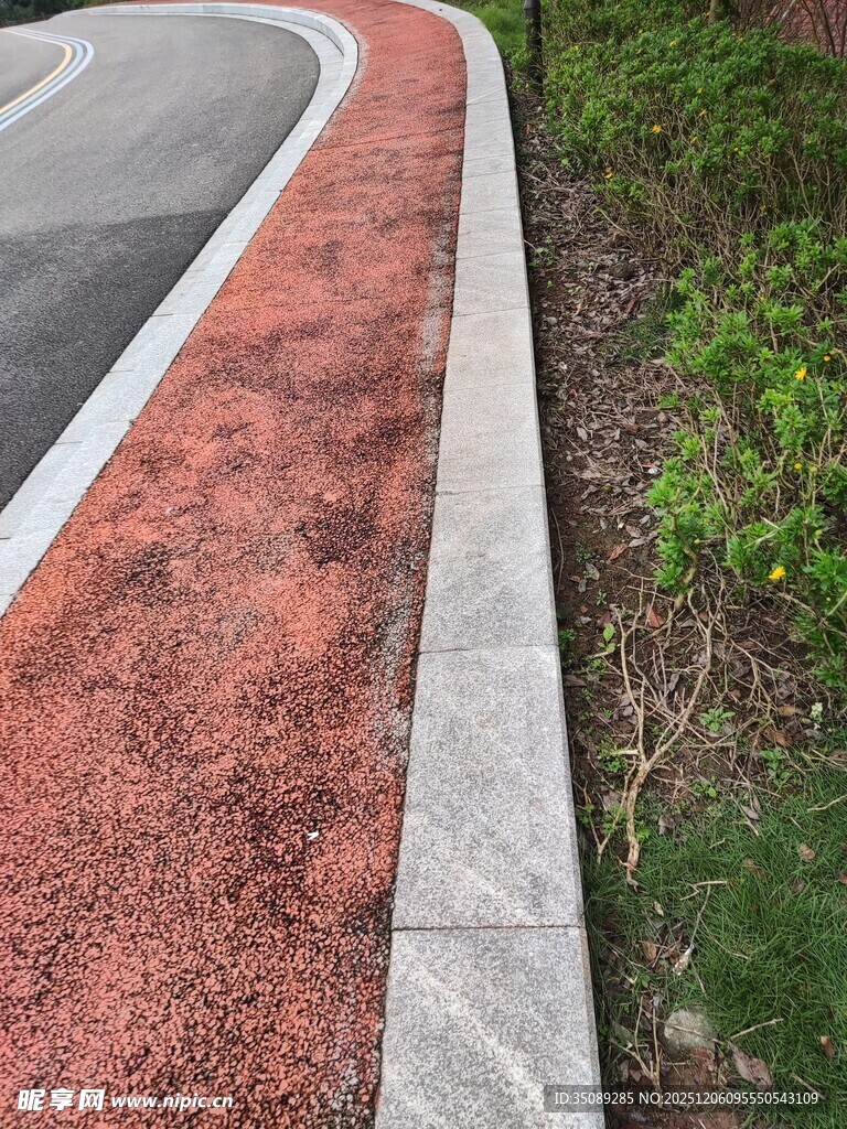 红色步道旁的绿植景观