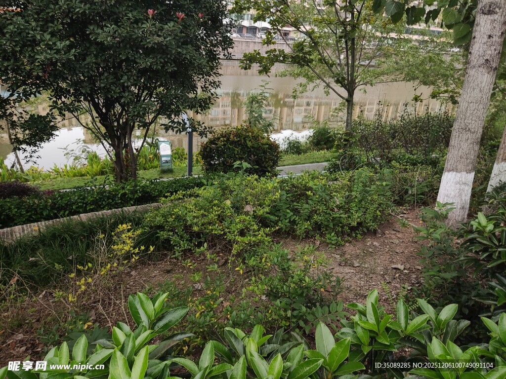 城市中的绿植景观角落