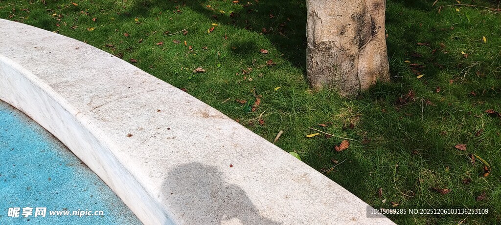 泳池边的草地与石柱