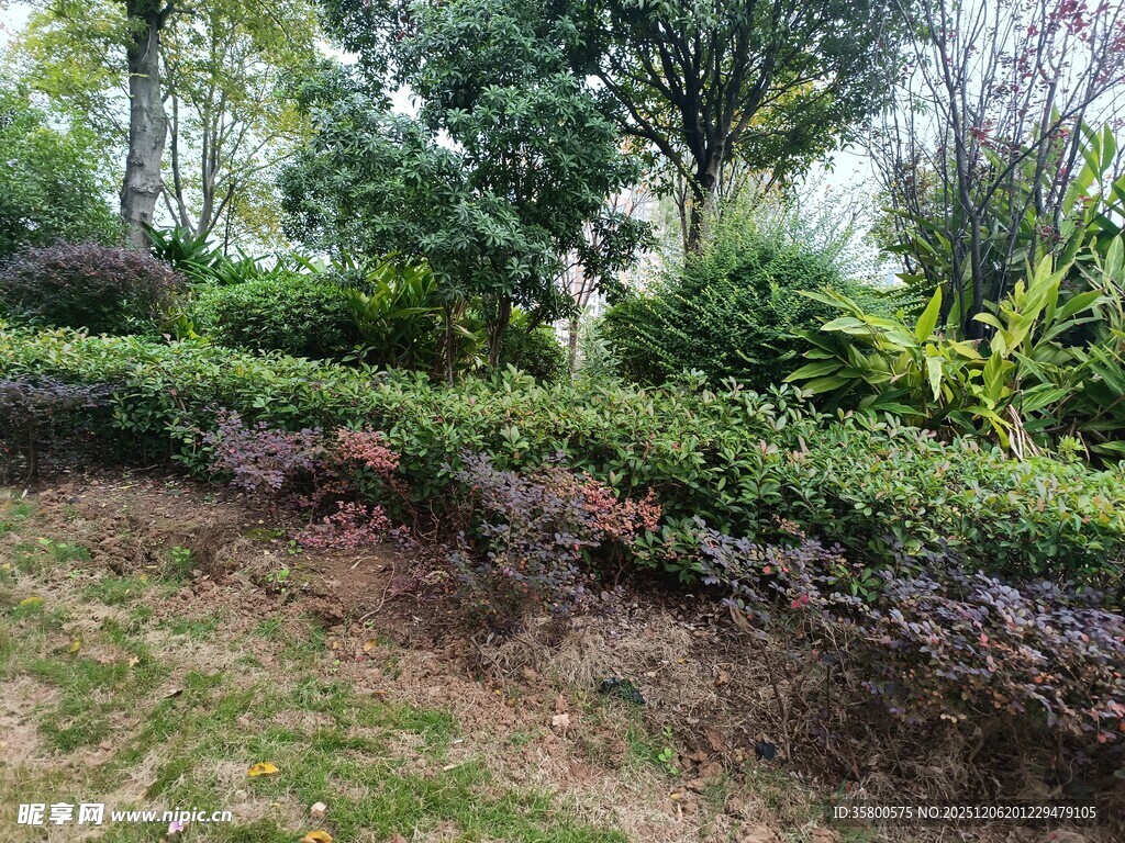 绿意盎然的园林景观