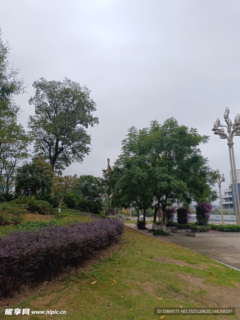 公园绿植景观