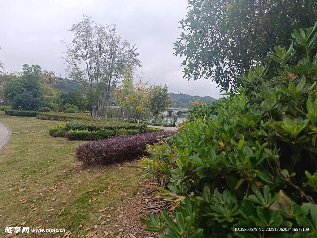 秋日公园绿植景观