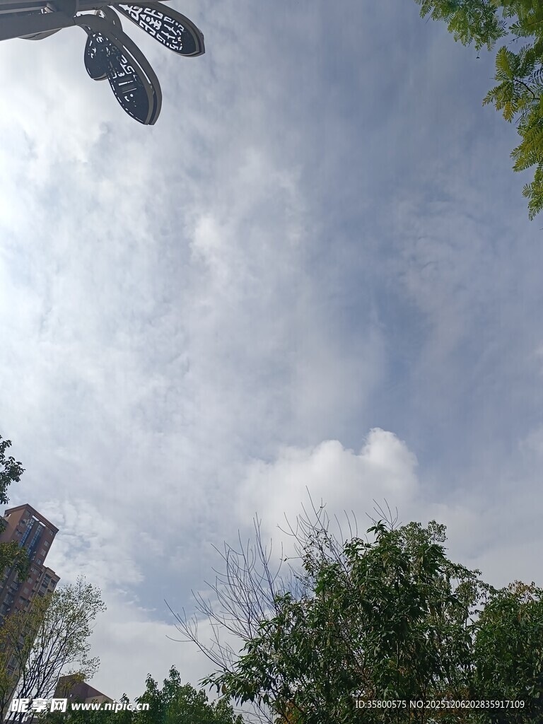 仰视视角下的鞋与绿树天空